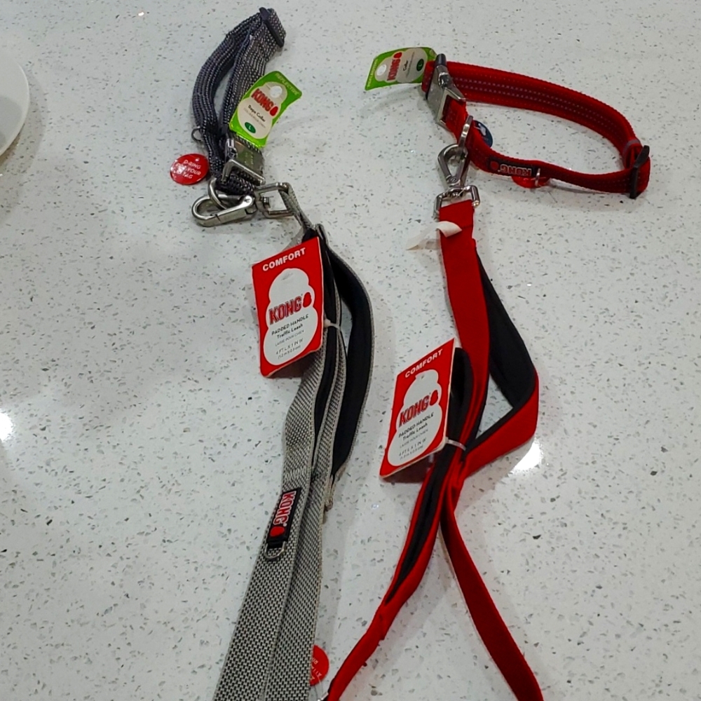 Kong collar and leash set